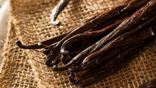 VANILLE ÉPICÉE 🍂