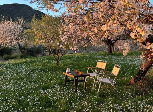 JARDIN PRINTANIER 🌾