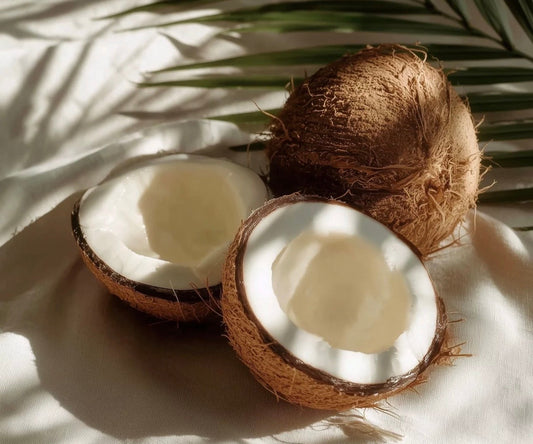 NOIX DE COCO 🥥