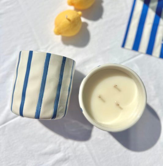 Le POT AZUR 450gr