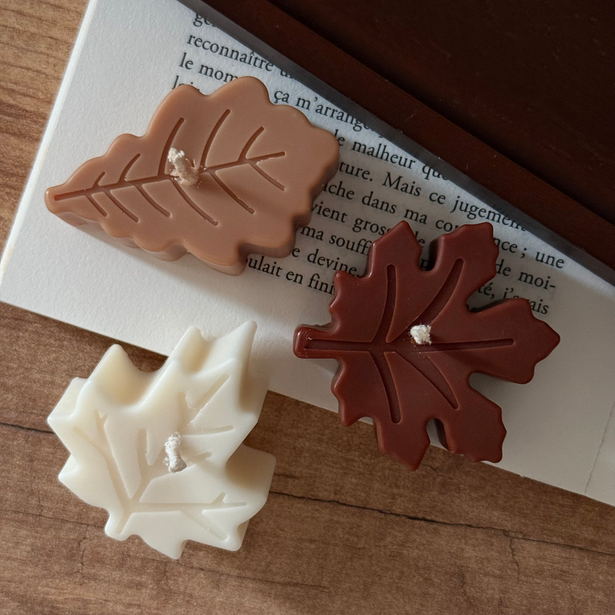 Mini TRIO D'AUTOMNE