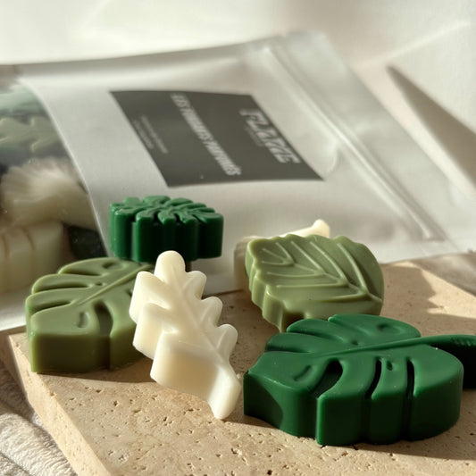 Fondants ALOE VERA 🌱