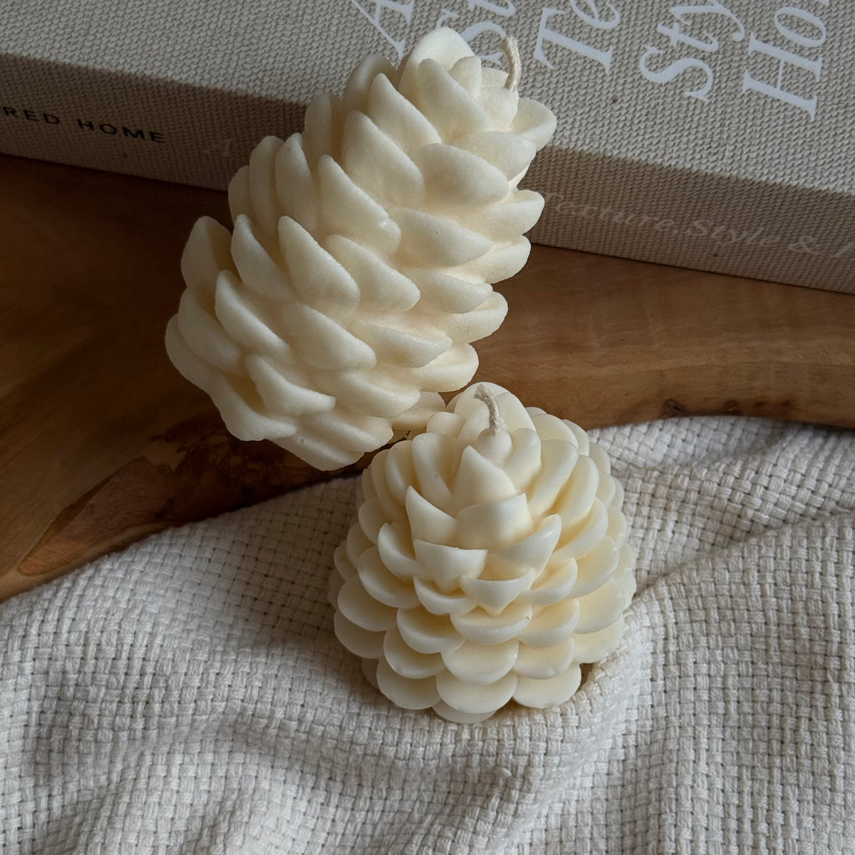 Bougies POMME DE PIN