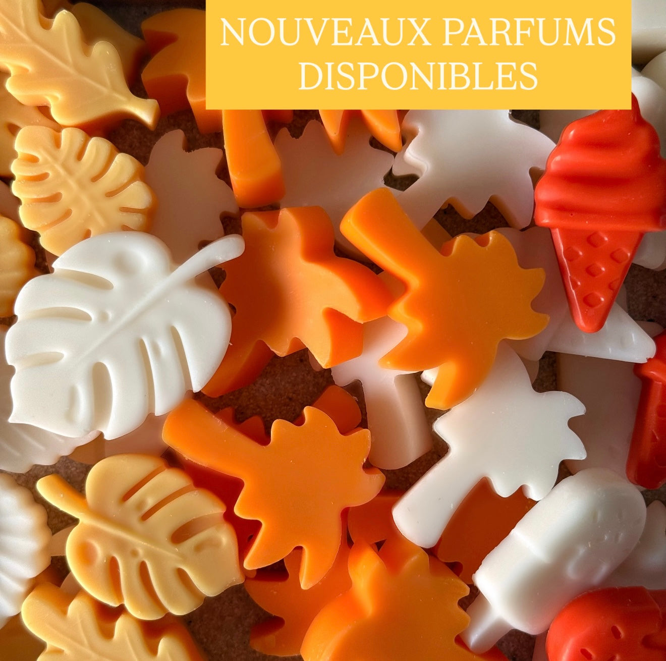 Fondants D’ÉTÉ 100g