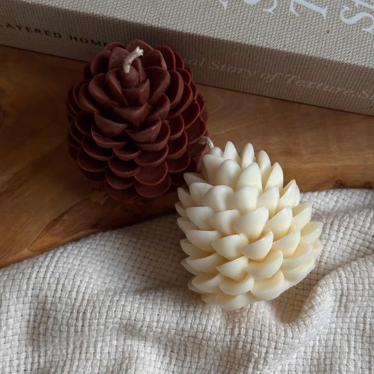 Bougies POMME DE PIN