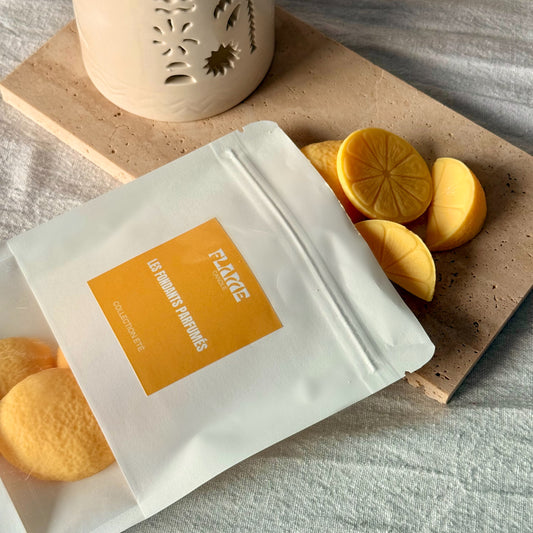 Fondants ANTI-MOUSTIQUE 100g