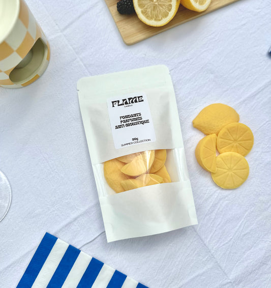 Fondants ANTI-MOUSTIQUE 80g